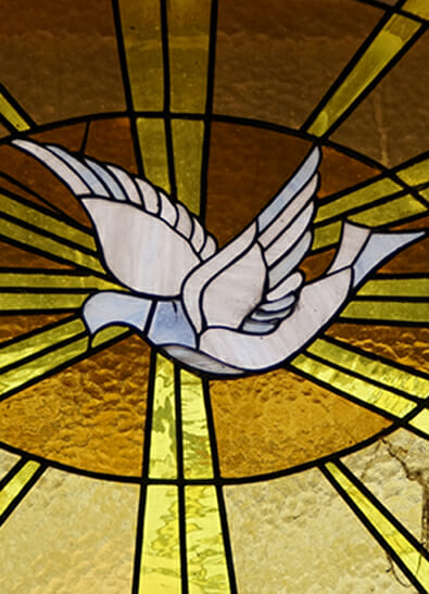 Adult Stained glass window depicting a white dove